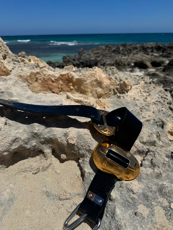 1kg 23.5 karat Australian Gold Plated Hydrodynamic weight