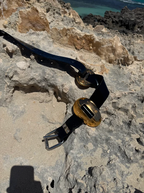 1kg 23.5 karat Australian Gold Plated Hydrodynamic weight